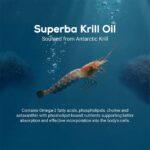TrueBasics Heart Omega-3 Antarctic Krill Oil, 30 capsules - Image 5