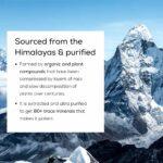 TrueBasics Shilajit with 80+ Trace Minerals, 20 g - Image 4