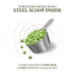 TrueBasics Clean Plant Protein, 1 kg (2.2 lb), Chocolate - Image 7